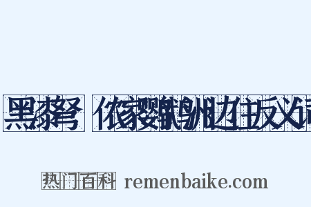 黑漆弩·侬家鹦鹉洲边住反义词是什么意思的图片